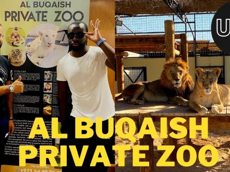 Al Buqaish Private Zoo